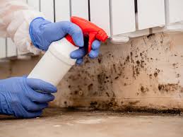 Forensic Mold Investigation in Woodville, WI